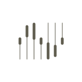 traced-coupons
